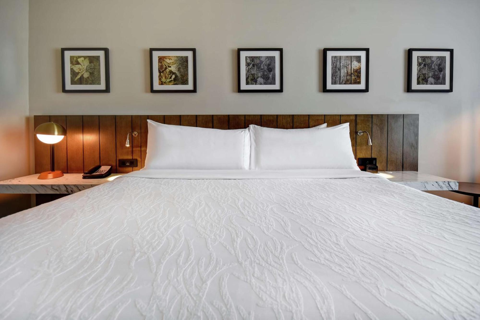 Hilton Garden Inn Джаксън Екстериор снимка